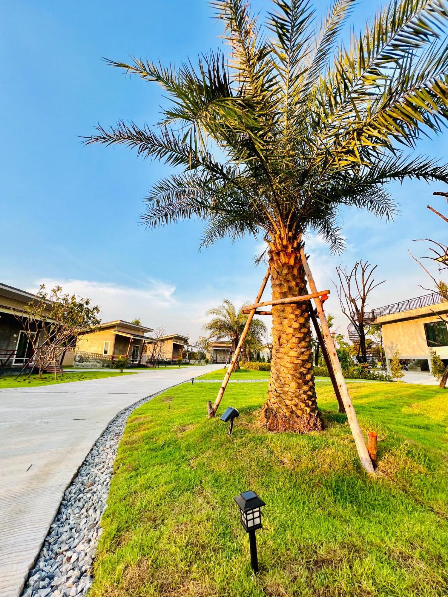 Farm View Resort @Uthai Thani ฟาร์มวิว รีสอร์ท อุทัยธานี Nong Khayang 外观 照片